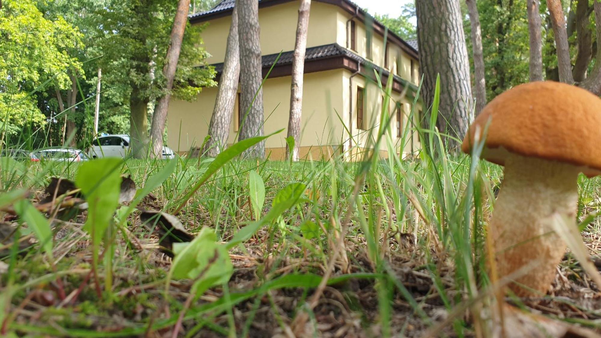 Villa Toskana ポゴジェリツァ エクステリア 写真